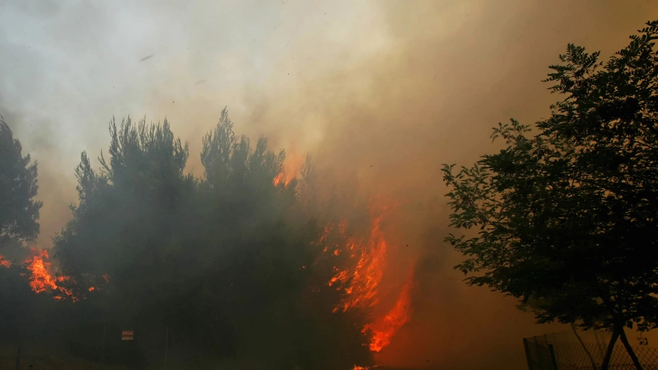 Пожар е възникнал в землището на Добринище общ Банско съобщиха