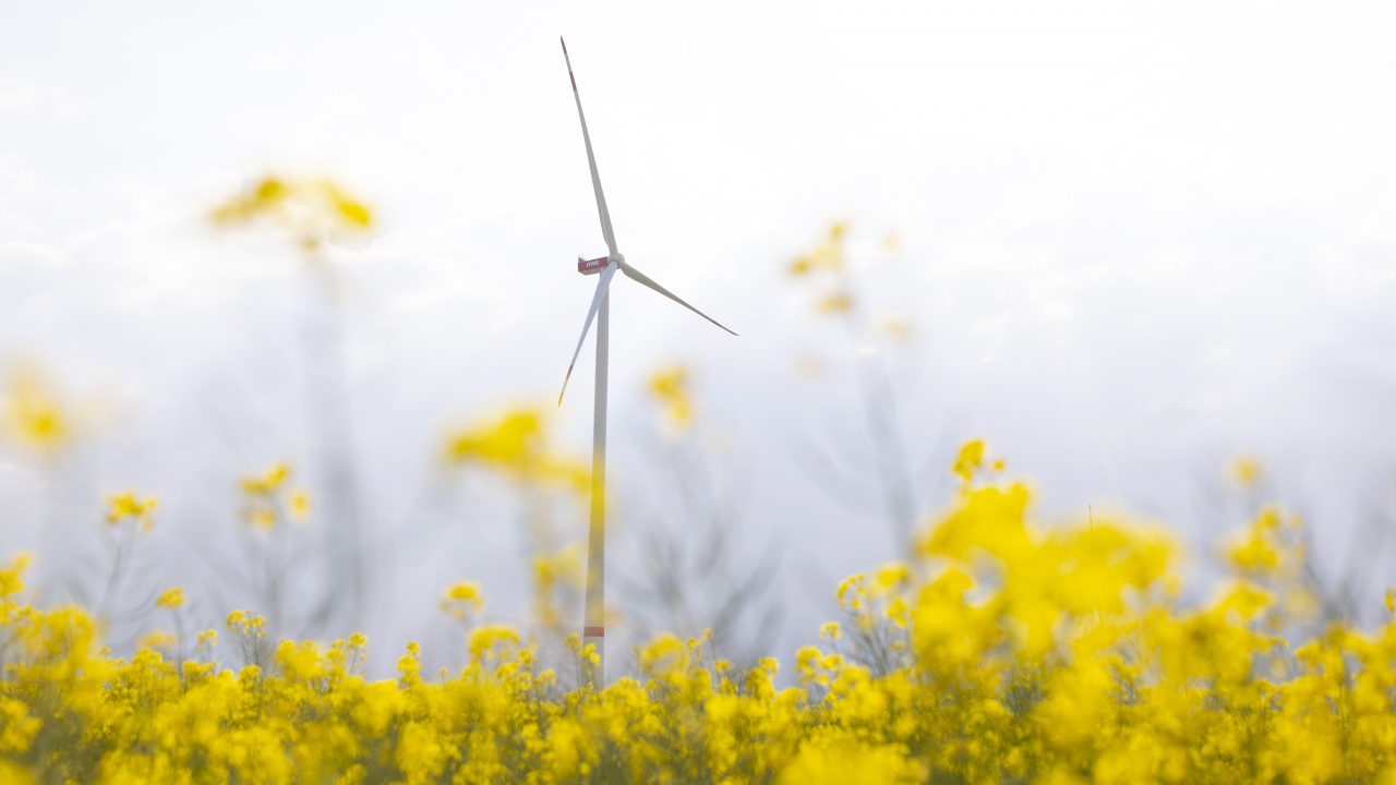 Четири държави ще увеличат десетократно капацитета на ветрогенераторите в ЕС