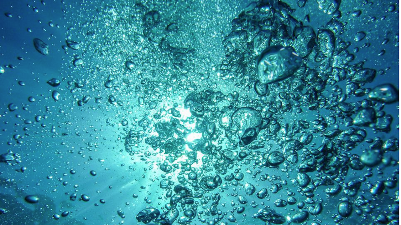 Океаните по света са с най-високи нива на киселинност от 26 000 години