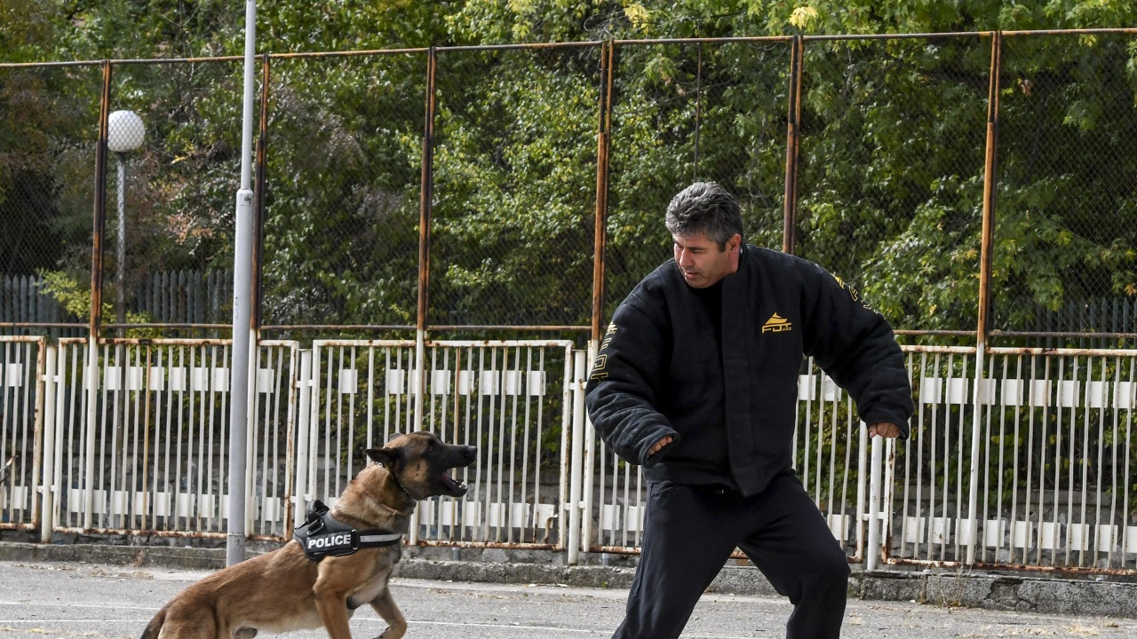 Със специално обучено куче откриват контрабандни цигари на „Капитан Андреево“