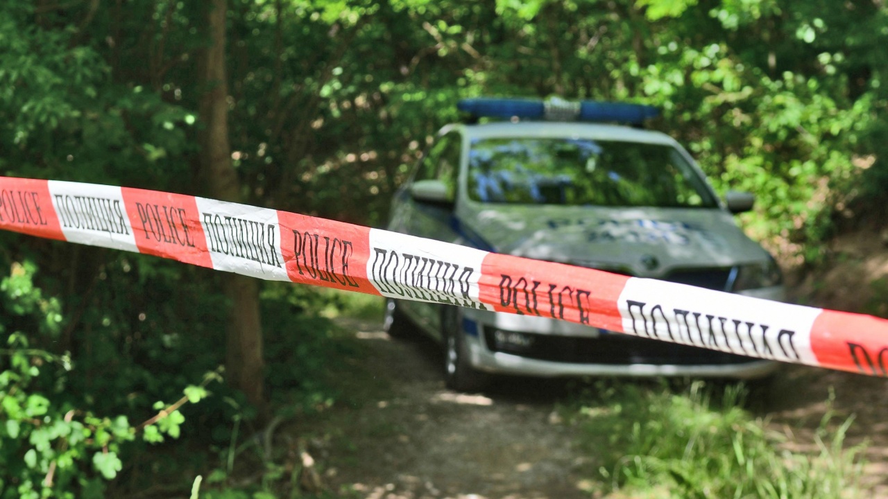Тялото на Алена Щерк е открито край Радомир, убиецът ѝ е напуснал България