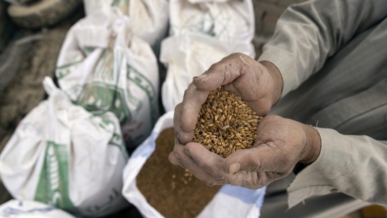 Африканският съюз иска да накара Русия и Украйна да разблокират износа на зърно