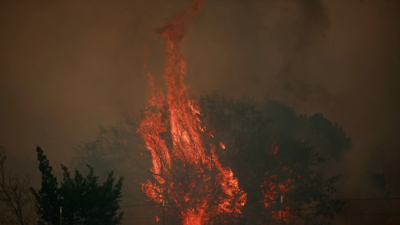 Голям горски пожар бушува в Тексас Изгорели са повече от
