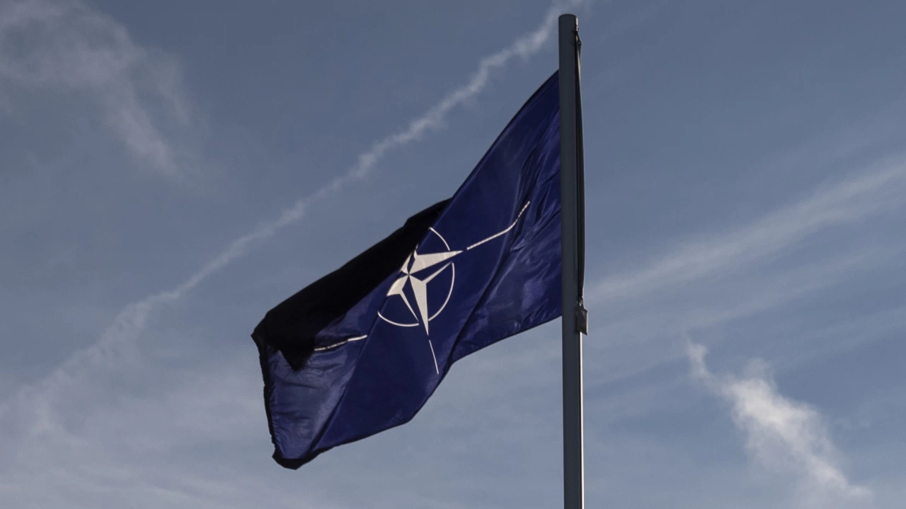 Държавите членки на НАТО са се споразумели неофициално да не доставят