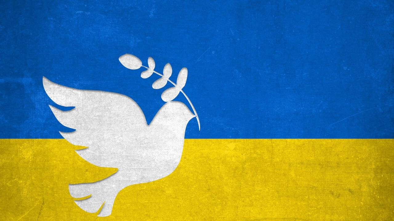 Войната в Украйна изцяло преструктурира системата на международните отношения и