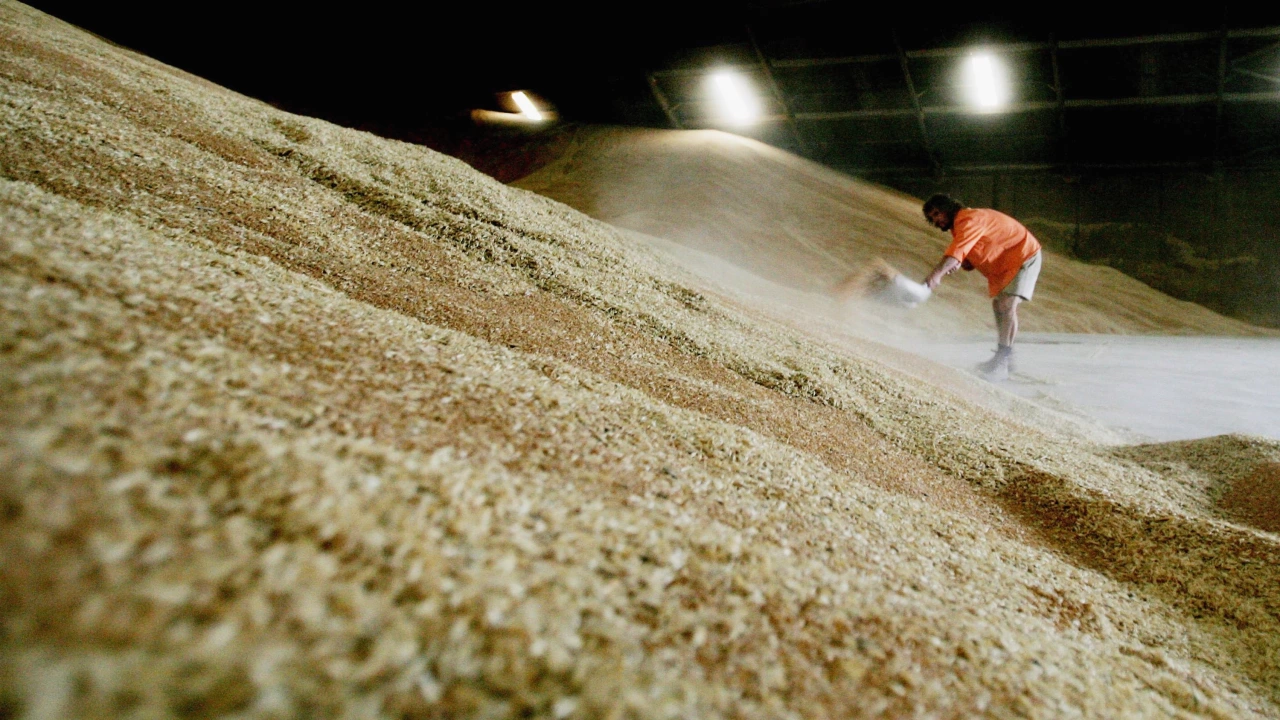 Транспортирането на украинско зърно чрез турските проливи към световните пазари