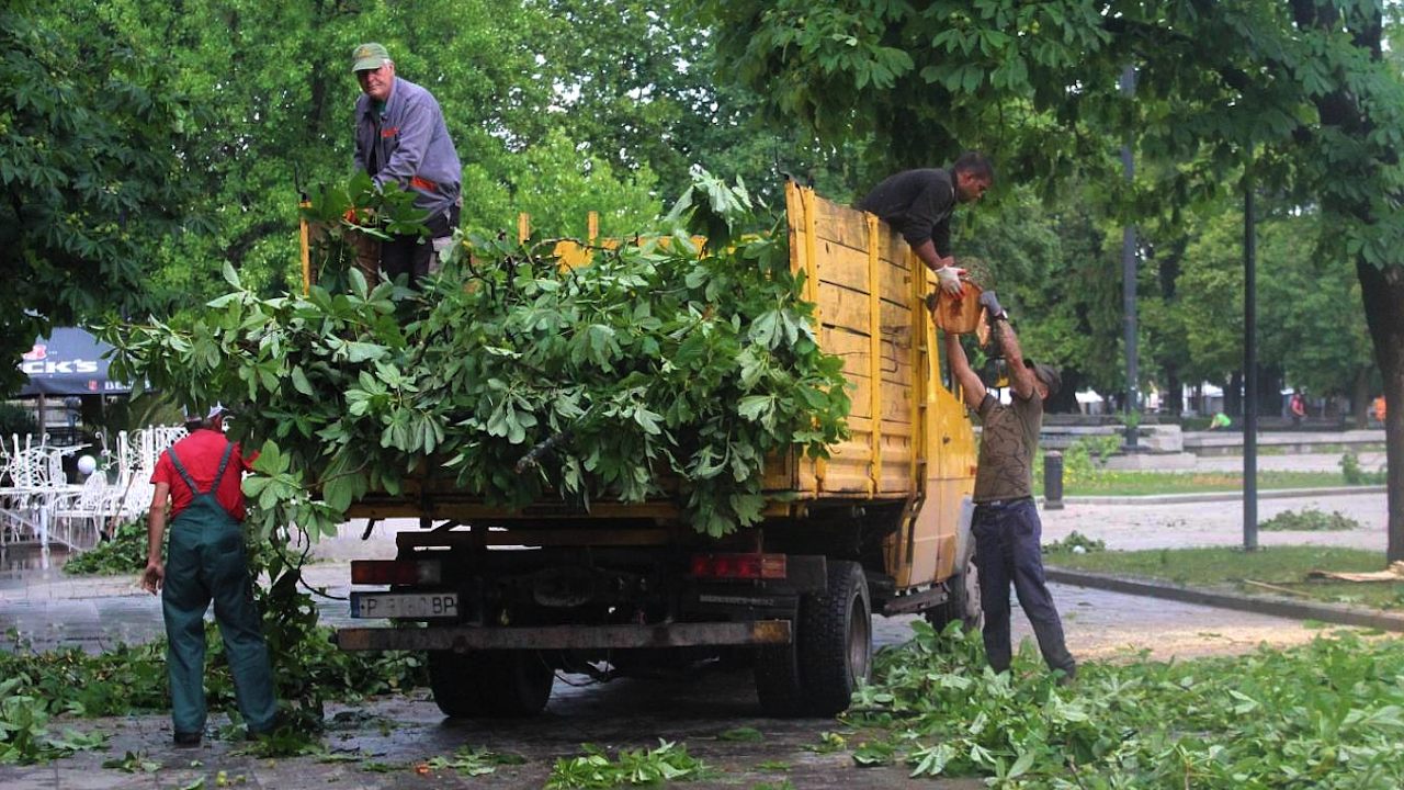 Над 300 работници продължават разчистването на Русе от паднали клони и дървета