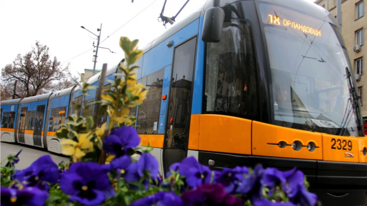 Пускат допълнителен транспорт за Задушница в София