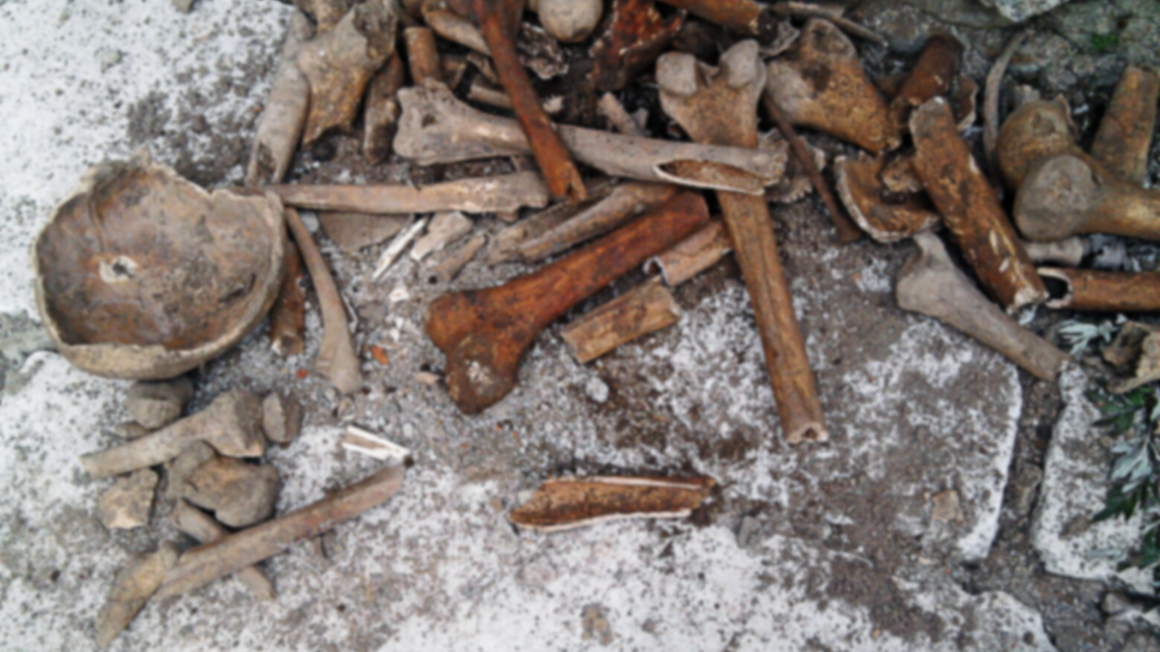 Човешки останки при изкопни работи в Тутракан