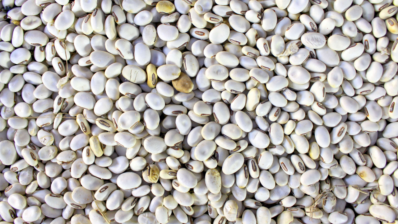 300 порции смилянски фасул раздават днес на фермерски пазар в