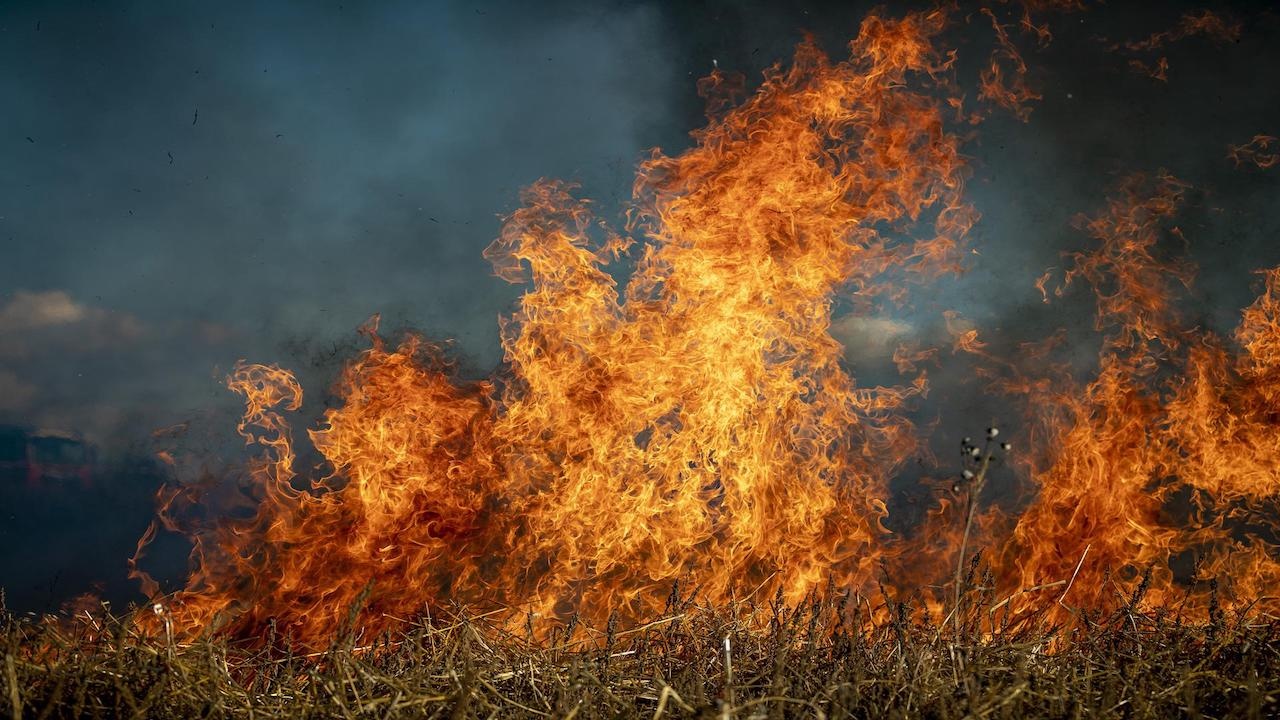 Голям горски пожар бушува край населена местност в Мармарис