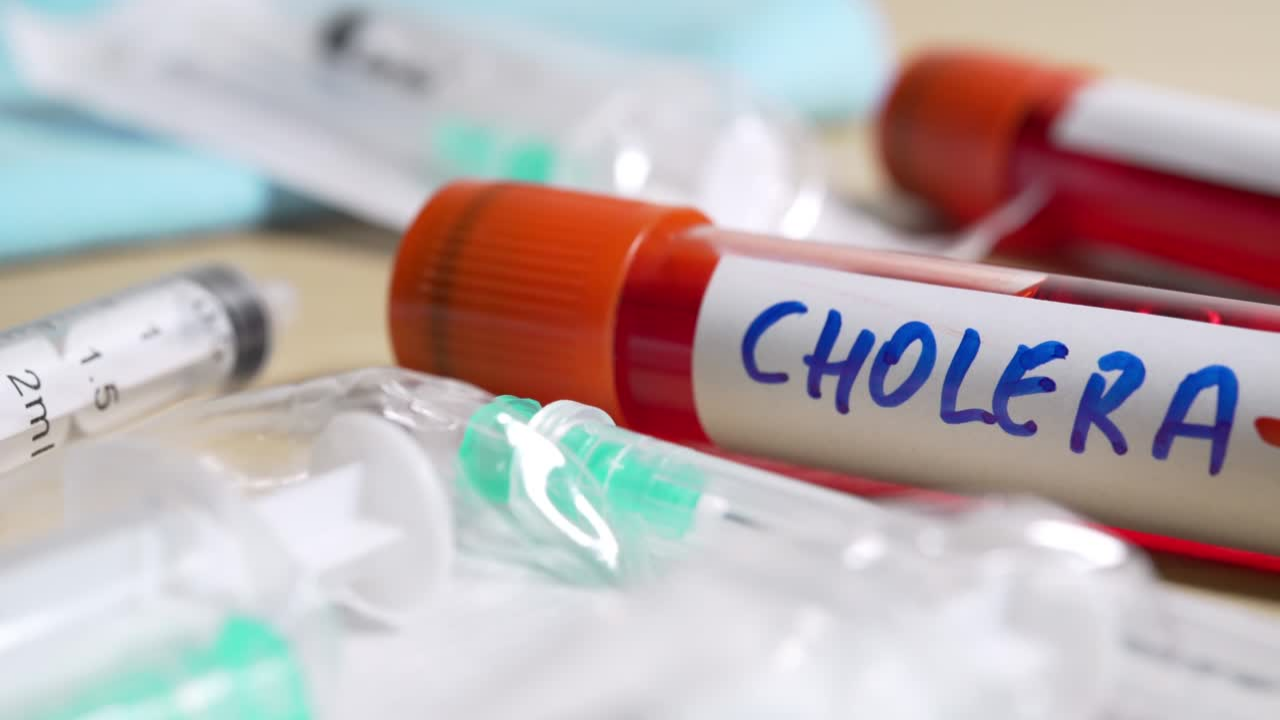 Румъния е нащрек за холера край границата си с Молдова и Украйна