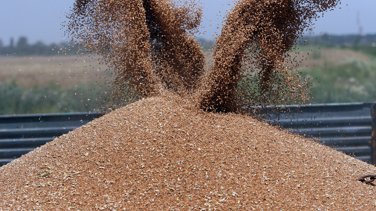 Украйна е изнесла с 8 процента повече зърно и бобови