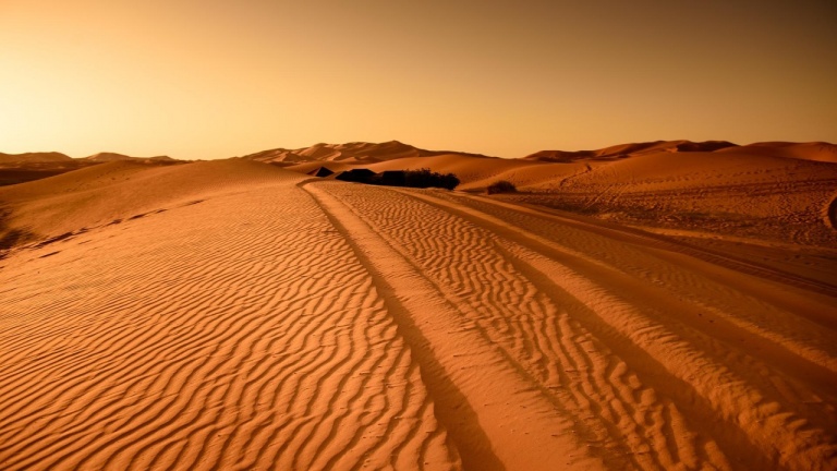 Двайсет души починаха от обезводняване в Либийската пустиня
