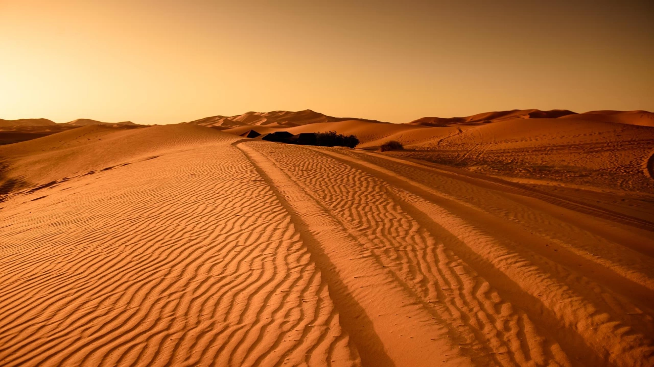 Двайсет човека бяха намерени мъртви в Либийската пустиня близо до