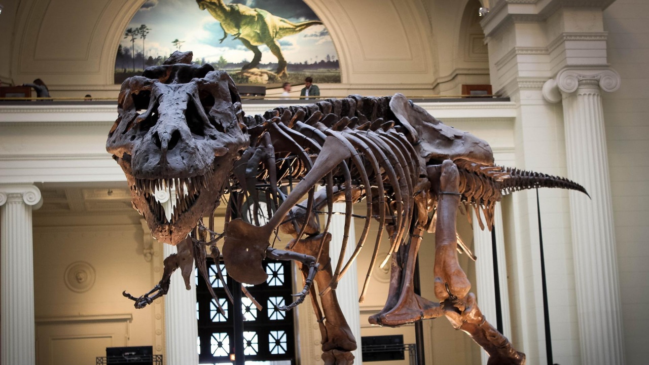 Скелет на динозавър на 76 милиона години ще бъде продаден на търг в Ню Йорк 