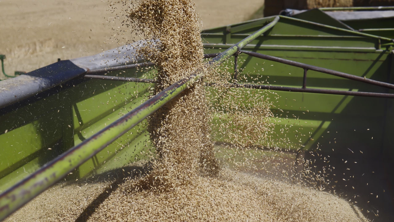 От днес Грузия забранява износа на пшеница и ечемик собствено