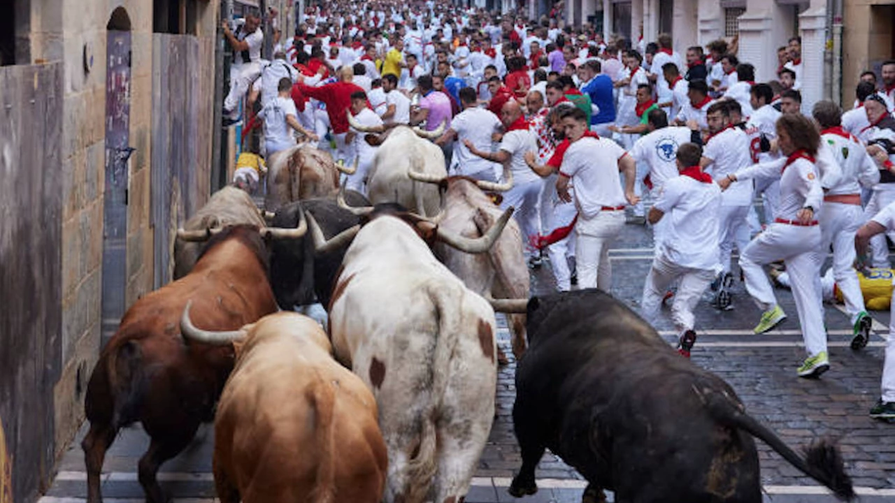 Първото от три години бягане пред бикове на фестивала Сан