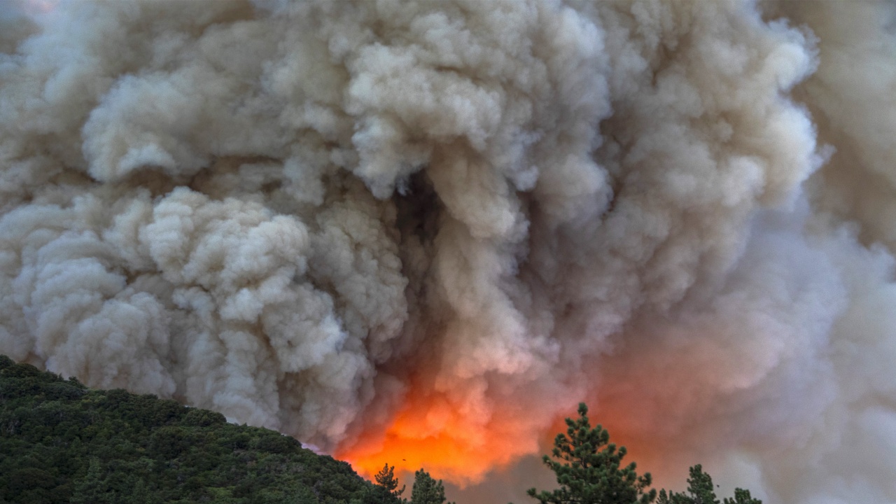 Евакуираха хиляди французи заради разпространението на горски пожари
