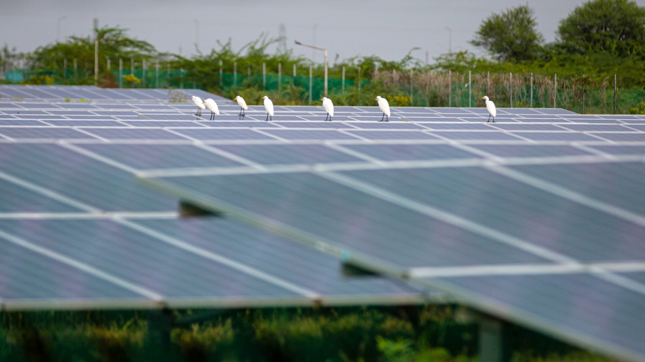 Компанията Cero Generation, водещ инвеститор в соларната енергия в Европа,