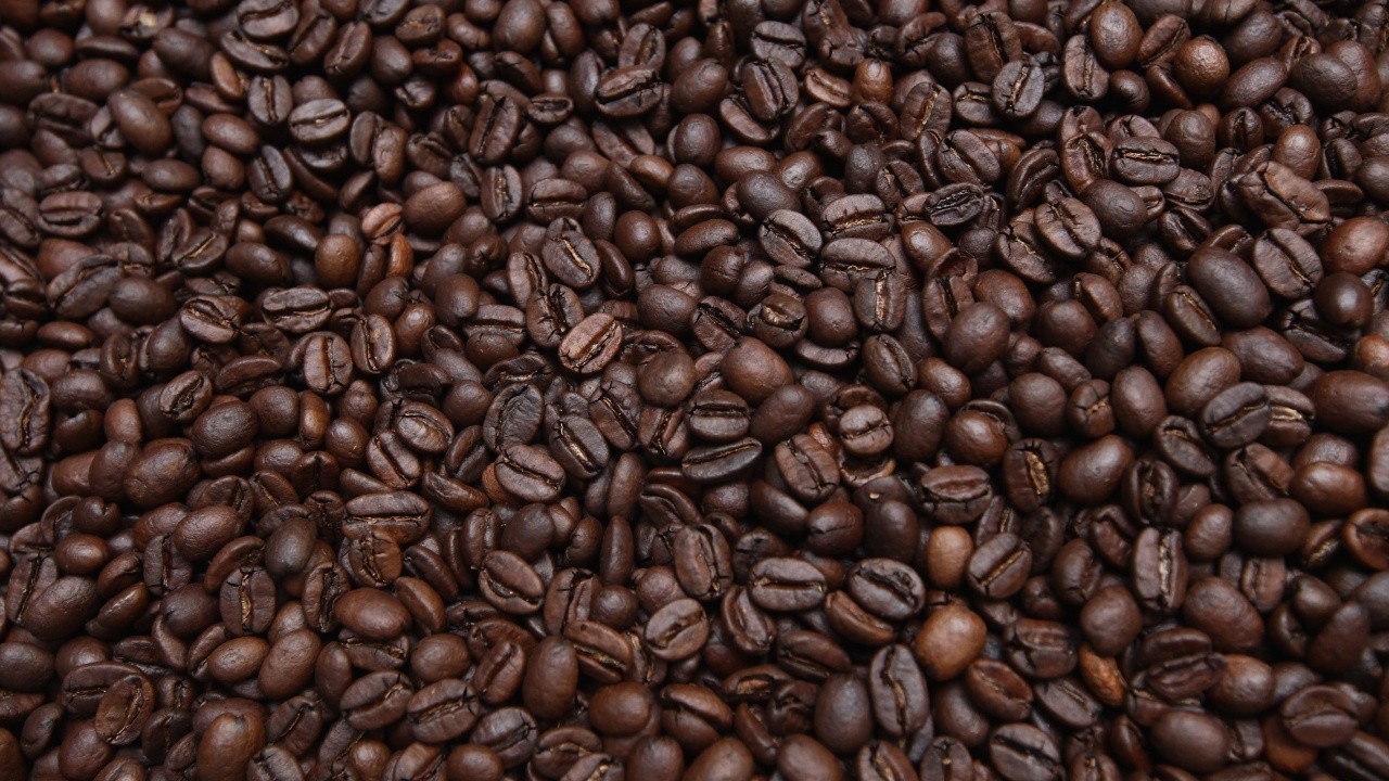 НАП спря опит за внос на кафе, маскирано като музикални инструменти