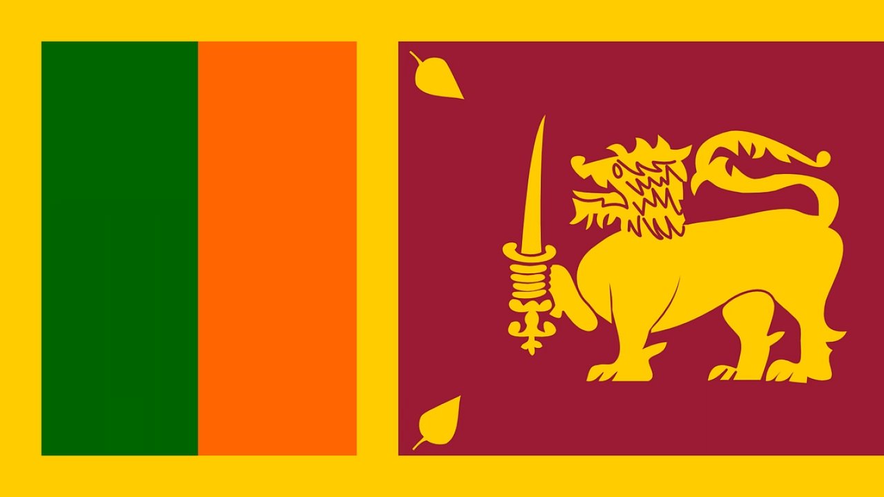 Президентът на Шри Ланка Готабая Раджапакса е информирал премиера Ранил