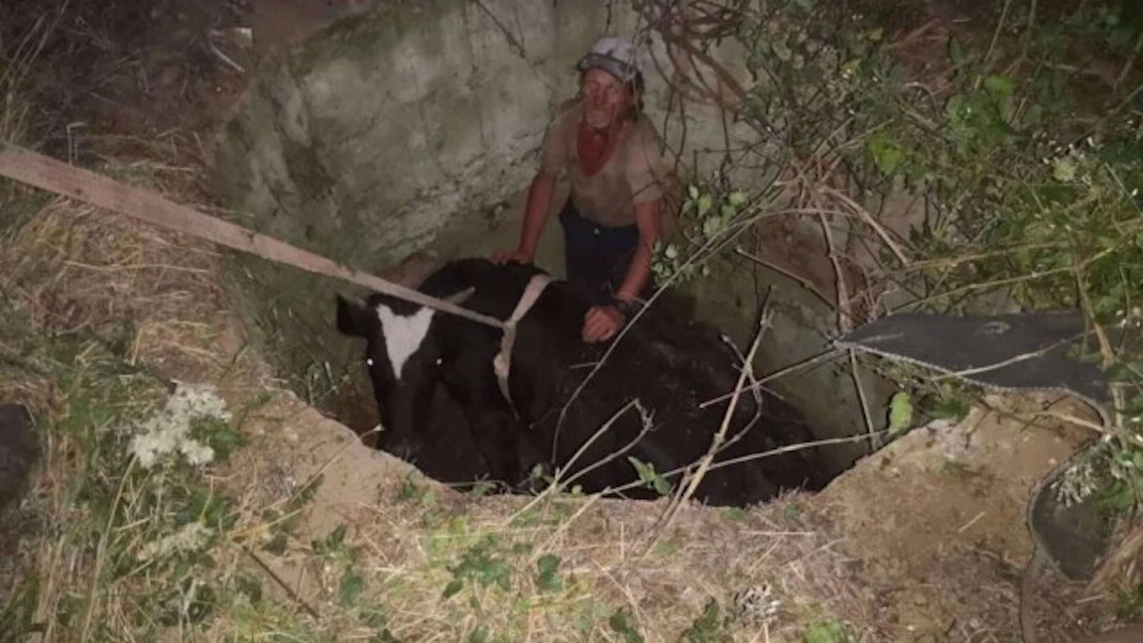 Екипи на пожарната служба в Сливен извадиха крава паднала в