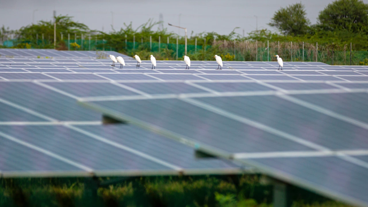 Компанията Cero Generation водещ инвеститор в соларната енергия в Европа