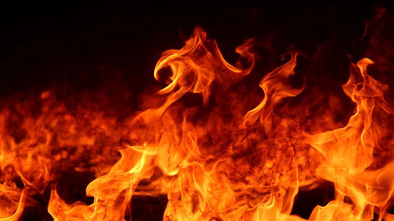 Горски пожар избухна вчера в червена борова гора в провинция Датча в