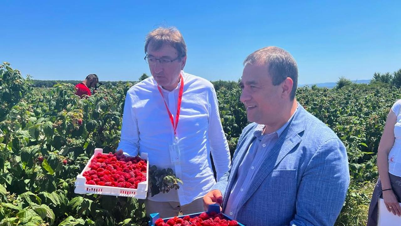 Министър Иванов: В последните години в България при малините се наблюдава устойчивост на плододаващите площи