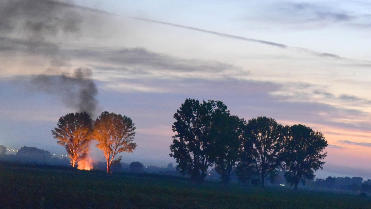 Два големи пожара бушуват в Хасковско