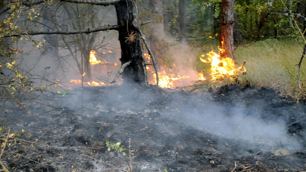 Пожар избухна между старозагорските села Ягода и Ръжена, временно пътят между селата е затворен