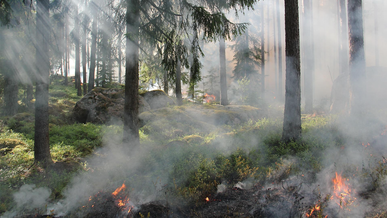 Голям пожар гори край бургаското село Изворище. По първоначална информация