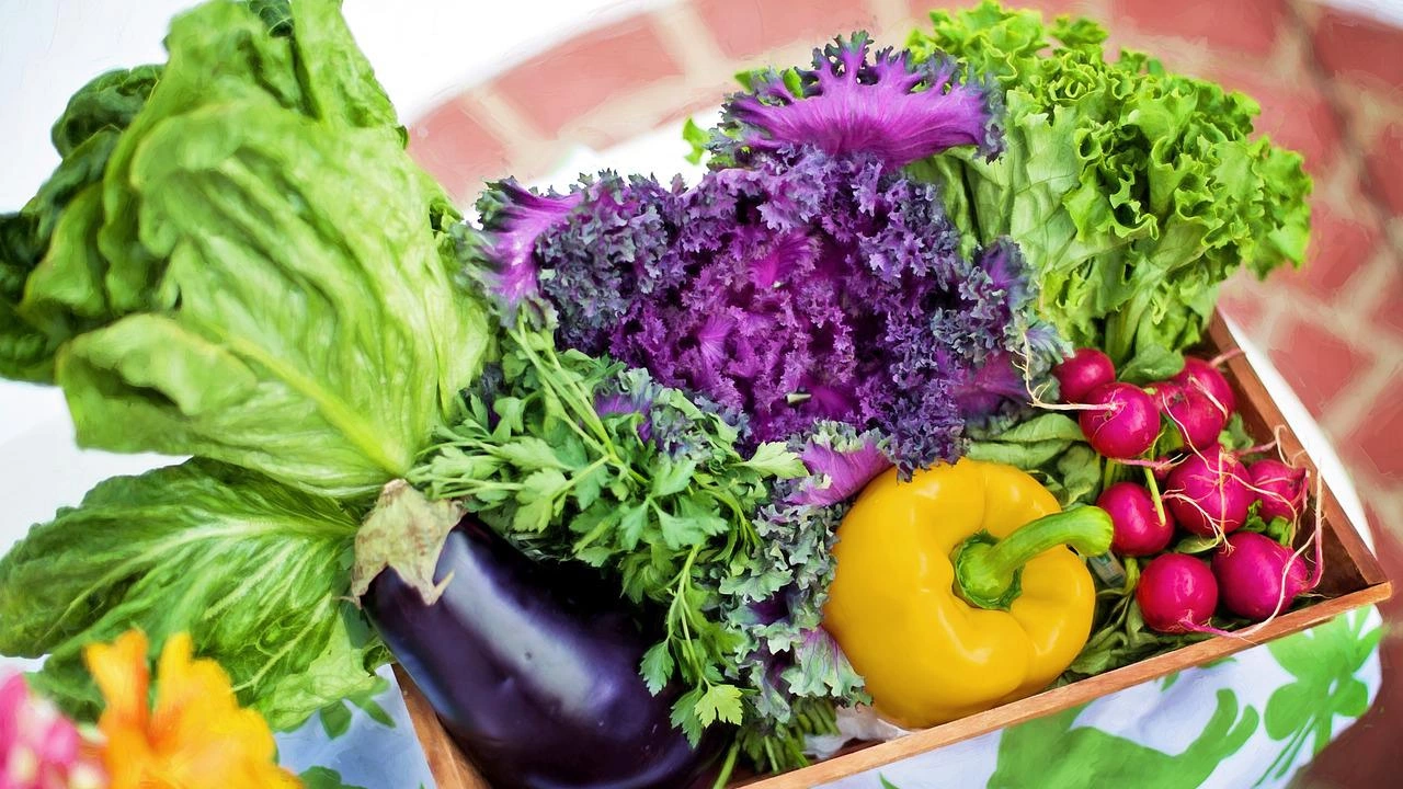 Зеленчуците са в основата на една питателна диета Богат източник