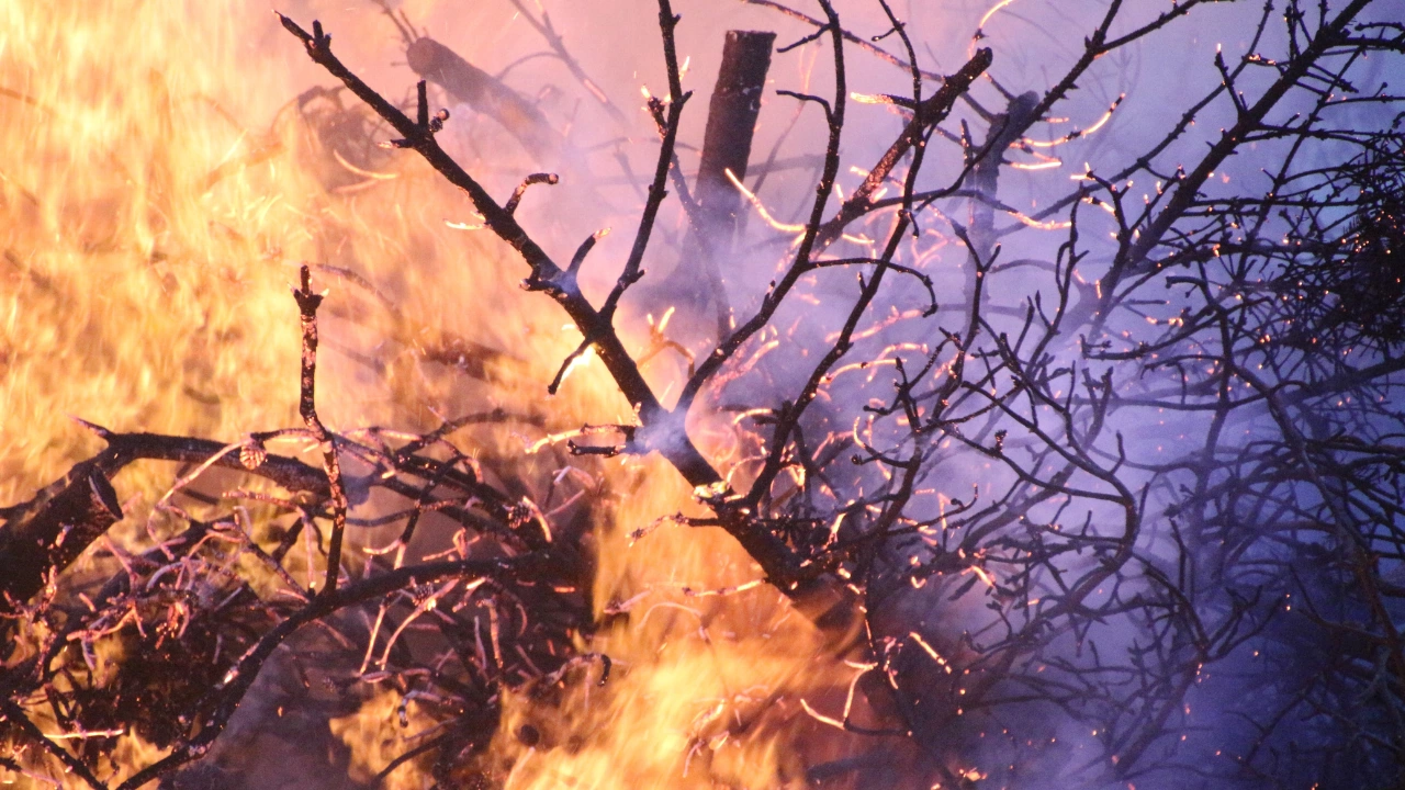 Овладян е пожарът който избухна между свиленградското село Студена и