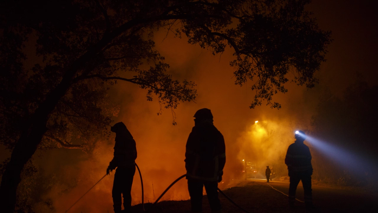 Испания преживява годината с най тежки горски пожари откакто се води