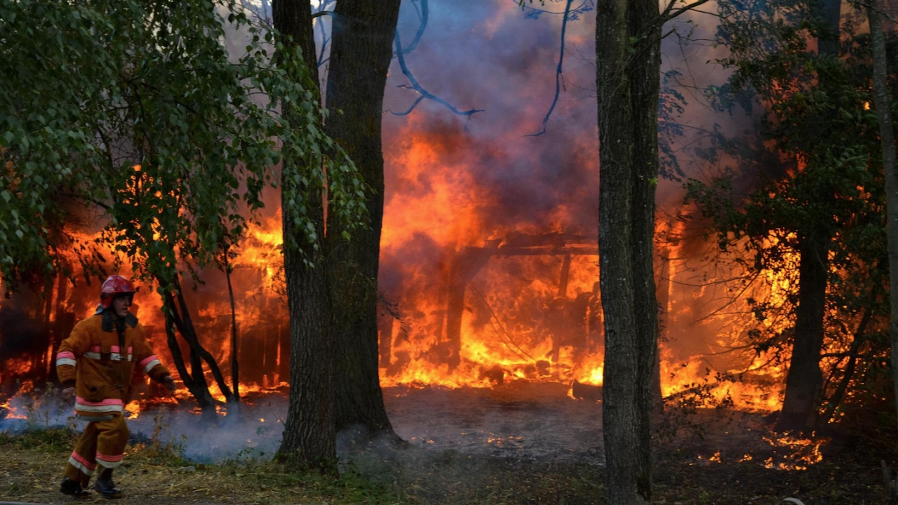 Тежка битка с мащабни пожари водят огнеборците в Гърция Следобед