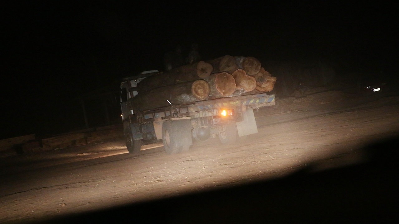 Камион, натоварен с незаконна дървесина заловиха при полицейска проверка в с. Дорково