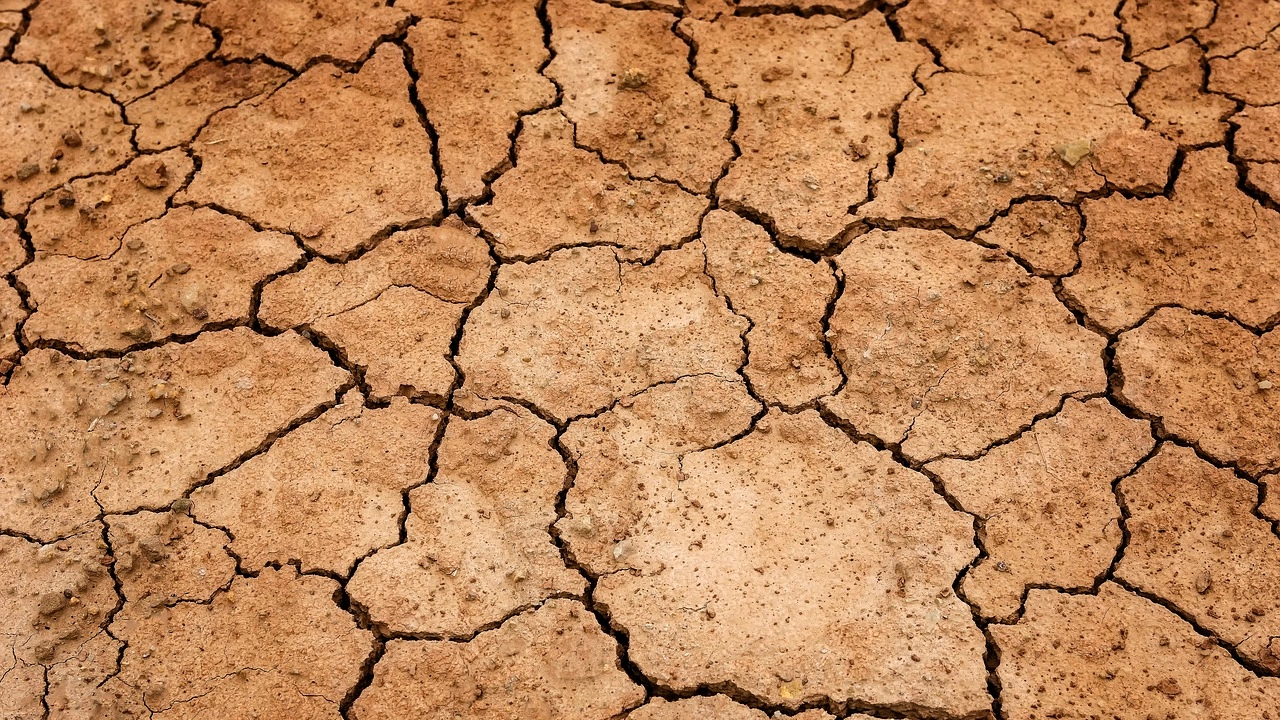 Почти цялата Франция страда от суша и в 90 от 96