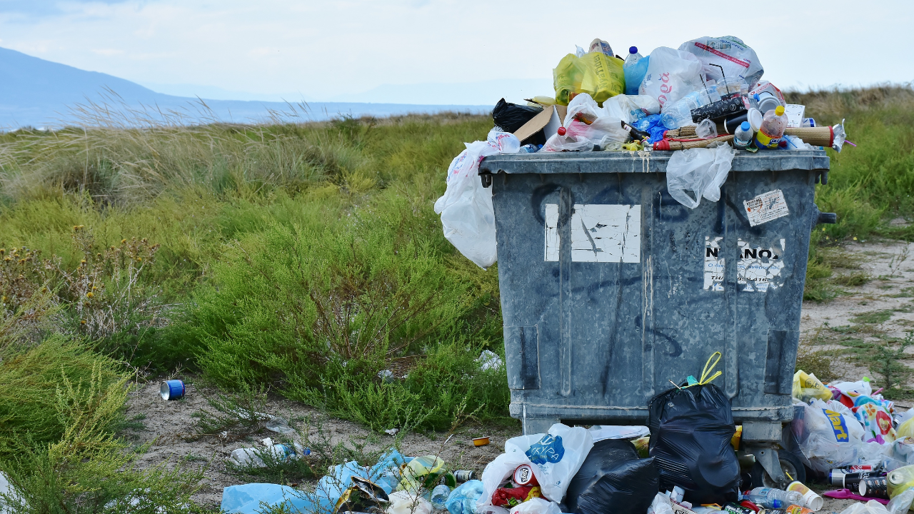 В разгара на лятото части от Варна са затрупани в боклуци