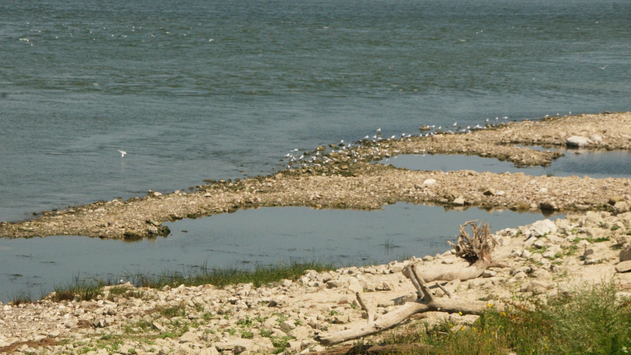 Критично ниско ниво на река Дунав Корабоплаването в българския участък