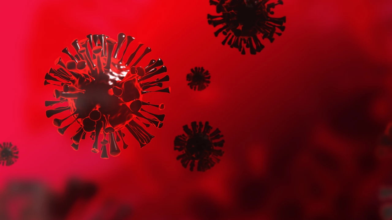 Нови 62 случая на заболели от коронавирус през последното денонощие