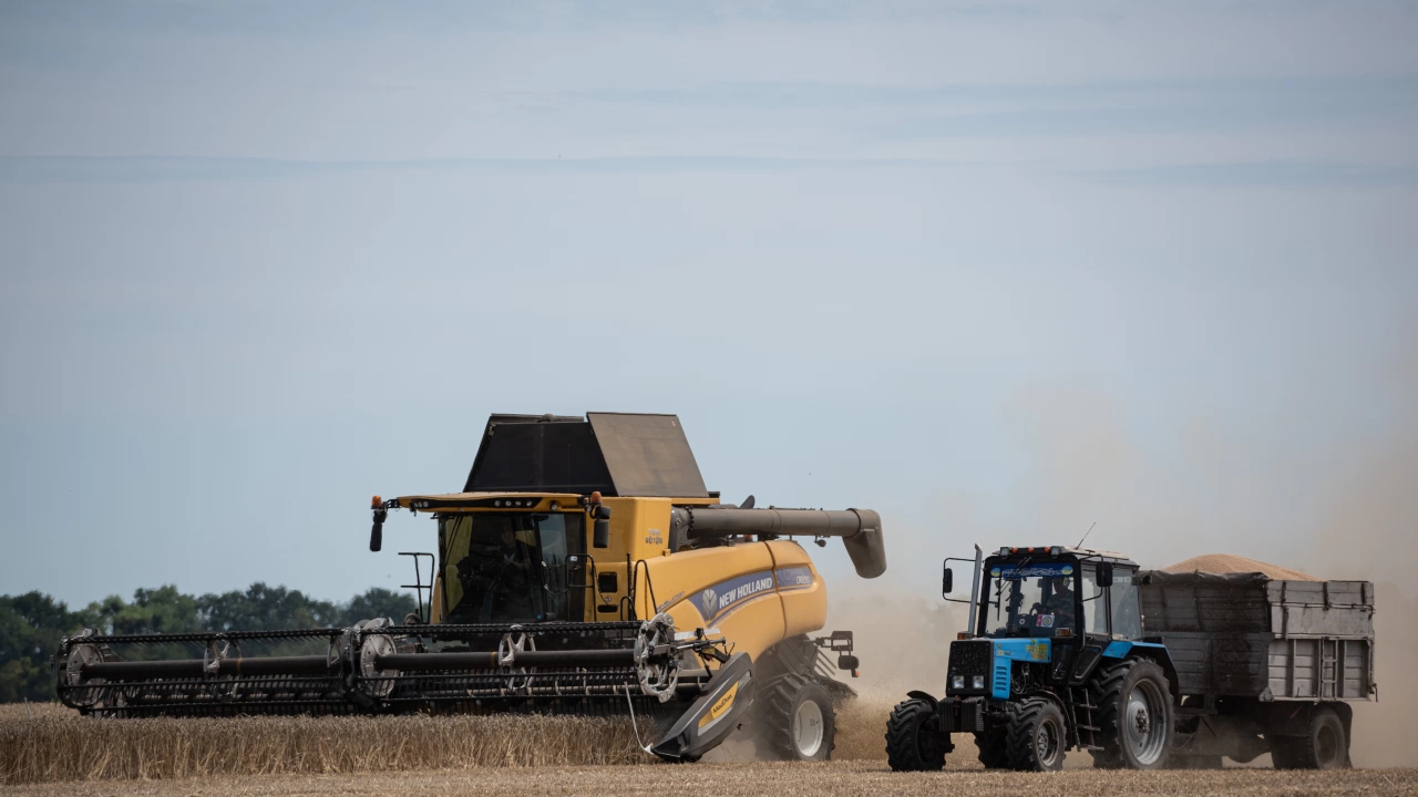 Зърнопроизводителите в Добричка област прибраха 778 775 тона пшеница съобщиха