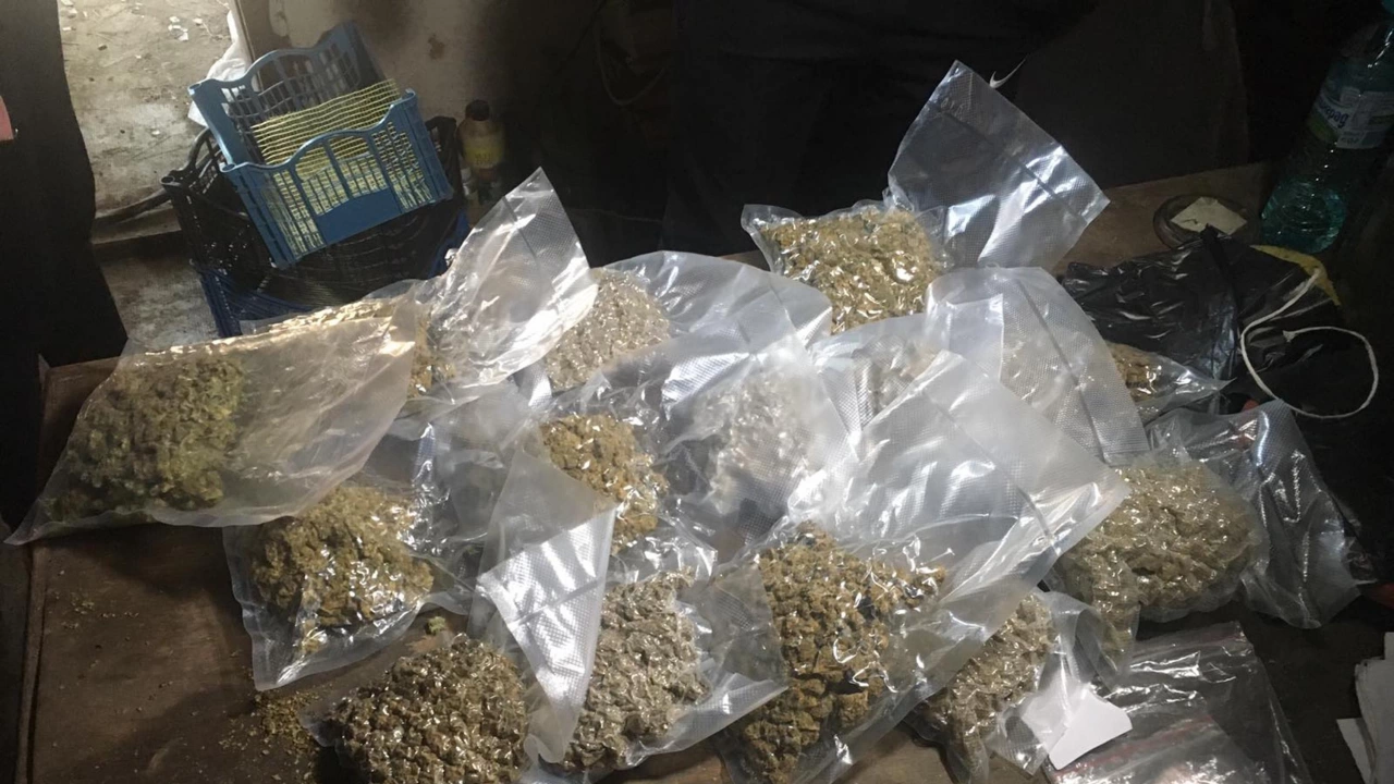 Столични полицаи разкриха домашна оранжерия за отглеждане на марихуана съобщиха