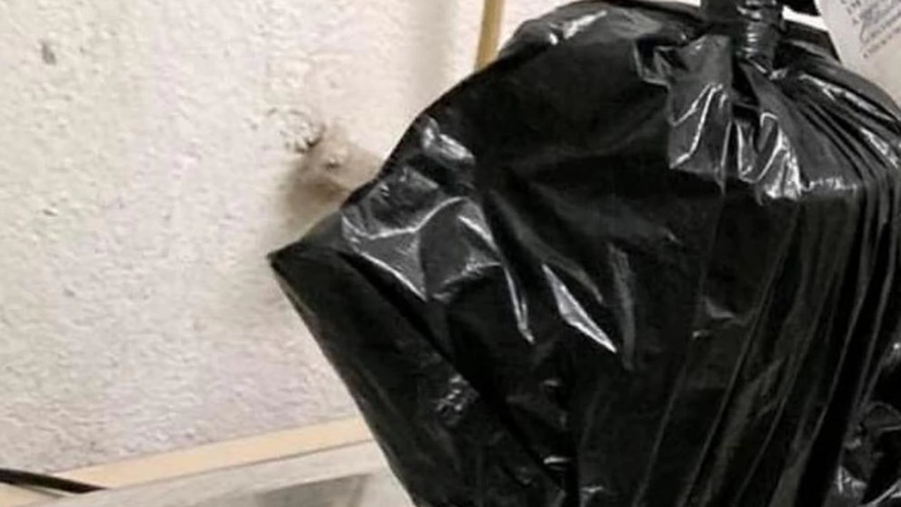 Иззеха над половин килограм кокаин в Дупница съобщиха от МВР Снимка МВР
Специализирана