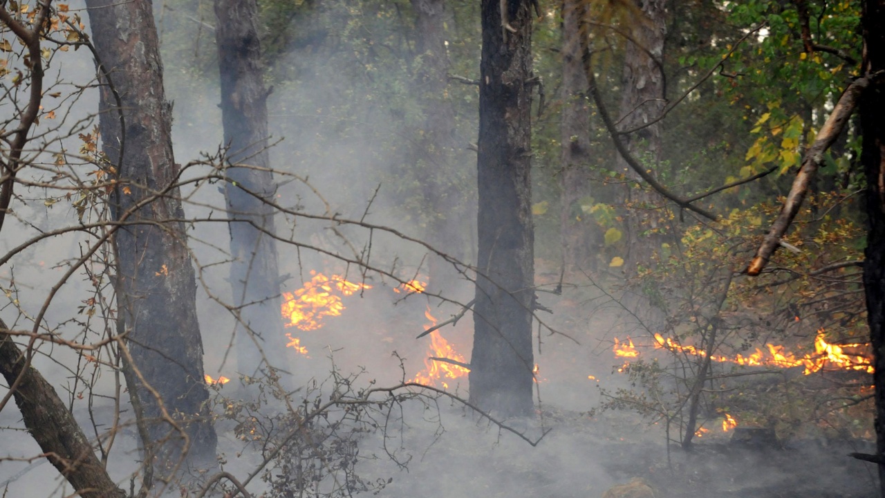 Запалени сухи треви са предизвикали пожар между панагюрските села Левски и Елшица