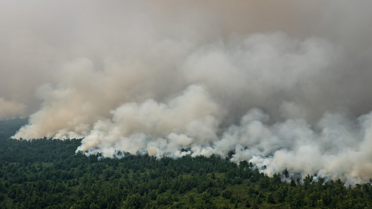 Продължават гасителните действия на огнеборци, горски работници и доброволци в района