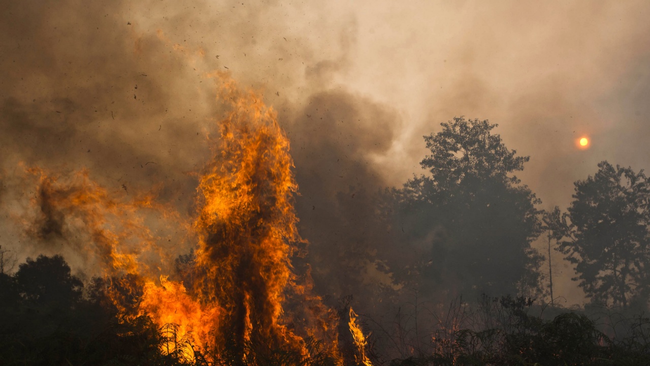 30 пожара бушуват в страната