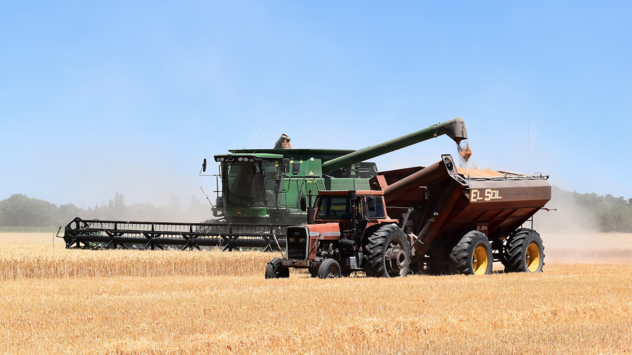 Румъния приключи с жътвата на пшеница, реколтата е между 15 и 18 процента по-малко спрямо 2021 г.