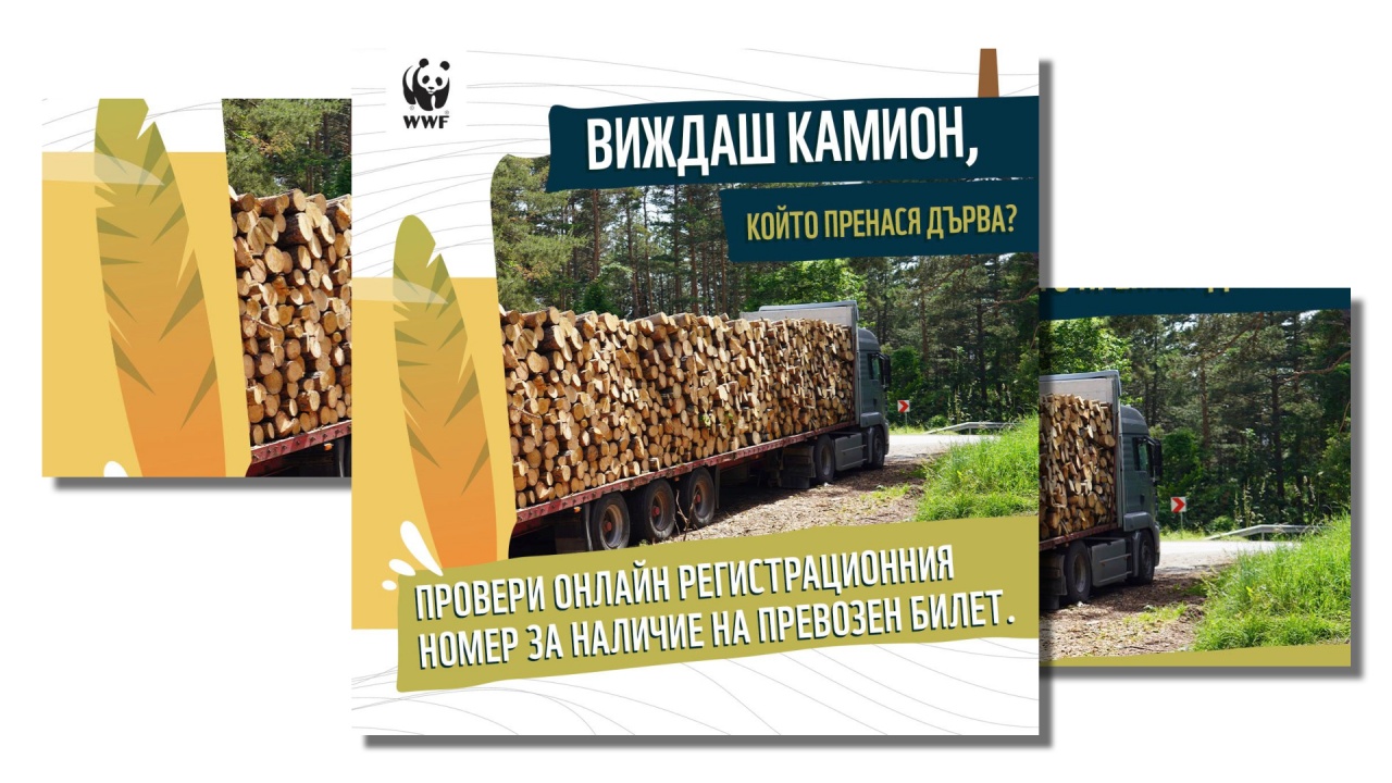 Как да разпознаеш дали камион превозва незаконно отсечена дървесина?